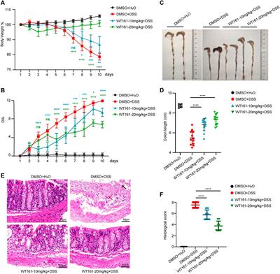 Identification of WT161 as a Potent Agent for the Treatment of Colitis by Targeting the Nucleotide-Binding Domain-Like Receptor Family Pyrin Domain Containing 3 Inflammasome